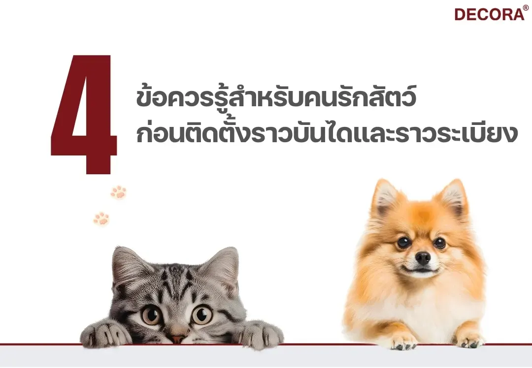 4 ข้อควรรู้สำหรับคนรักสัตว์